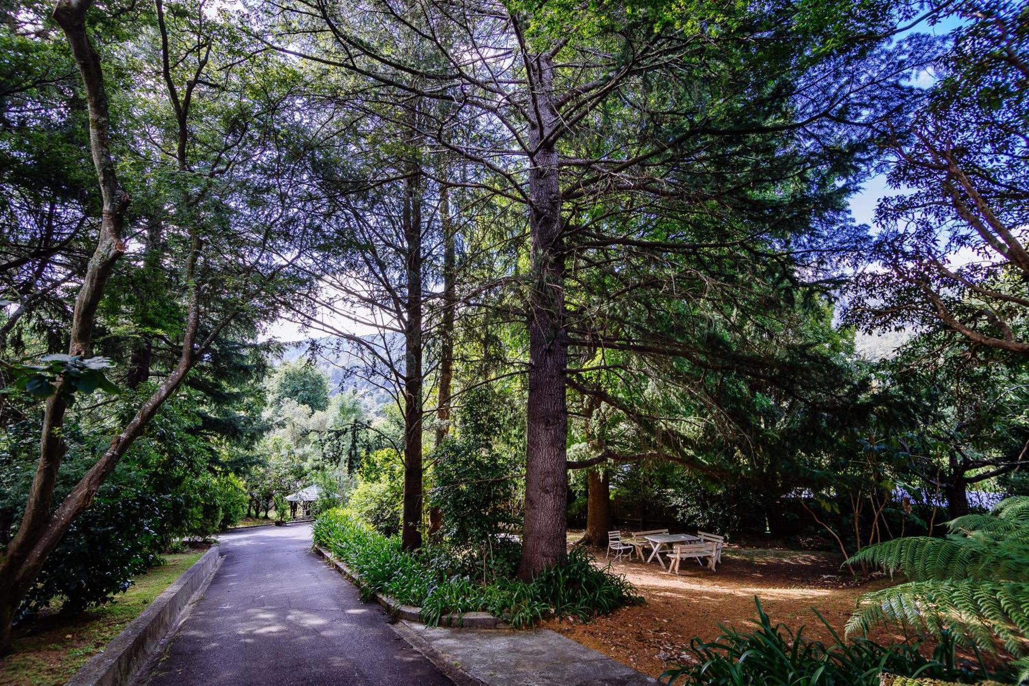 Warburton Lodge Bagian luar foto